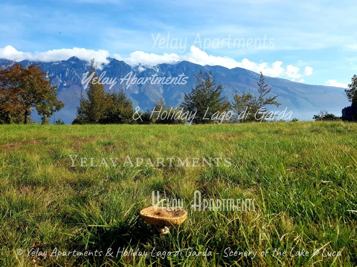 Yelay Apartments & Holiday Lago Di Garda Raffa Exterior photo